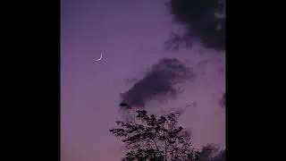[FREE FOR PROFIT] *GUITAR* Juice WRLD Type Beat 2024 - "protector"