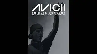 Avicii - Bromance (Live Vocals by Amanda Wilson)