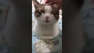 Отключение питания
