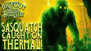 Researchers Take Crazy Photo of Bigfoot! | Bigfoot: The Road to Discovery