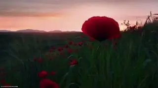 Spring Fields in Ismayilli Azerbaijan 2018