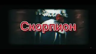 Подпишись 🌚🖤 #гороскоп #гоактив #знакизодиака #втоп #астрология