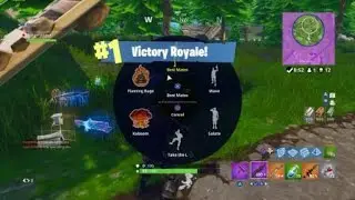 Fortnite Madness