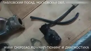 Kia Sportage CRDI - прошивка и отключение EGR в Павловском Посаде от АДАКТ