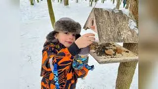 Акция "Покорми птиц зимой"
