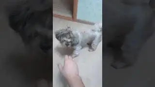 Нападение