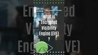 What is Encrypted Visibility Engine?  