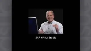 SAP Business One HANA Studio