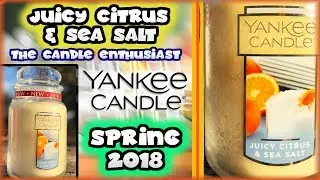 Yankee Candle - JUICY CITRUS & SEA SALT - NEW 2018 Spring Fragrance In-Depth Review