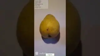 Food vision prototype v1