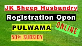 Sheep Farming Scheme 2023 Application Forms Out  | District Anantnag