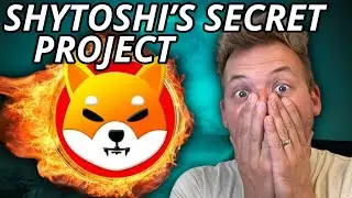 SHIBA INU - SHYTOSHI'S SECRET PROJECT!!! THIS IS A BOMBSHELL!