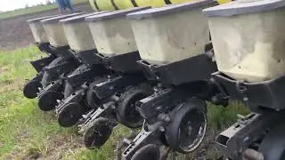 Отака посівна