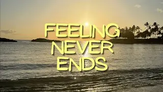 Feeling Never Ends (Original) ~ Calvin