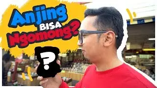 ANJING BISA NGOMONG DI JEPANG Wkwkwkwk