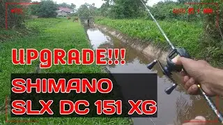 Coba Casting Pakai rell Baitcasting Shimano SLX DC 151 XG, Bisa??? #mancing #casting #gabus #shimano
