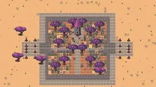 Lavender Fields Forever - One Day in Birdseye View