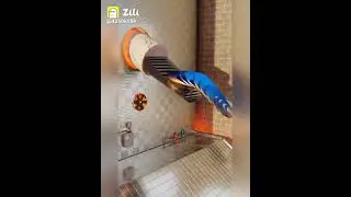Amazing technology and videos | viral #shorts