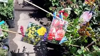 ЛЕРУА МЕРЛЕН ,  цены , покупки .
