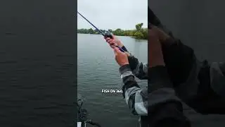 Targeting River System Smallmouth Bass with Humminbird MEGA Imaging 💪 #Humminbird