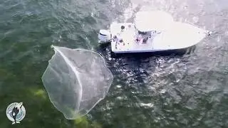 No Bait Escapes | Humpback Cast Nets,