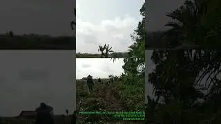 Mengharapkan Air Turun dari Langit