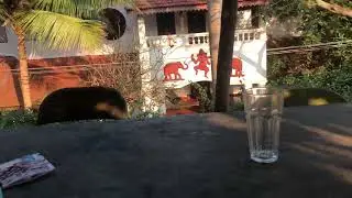 THE MOST BEAUTIFUL HOSTEL IN A WORLD