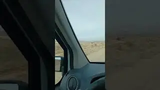 aci su hacilaro kusca