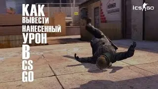 как вывести нанесенный уров в CS GO