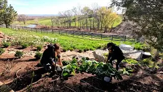 Planting Perennials with My Mom! 🌿🙌🥰 // Garden Answer