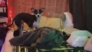 Hailey Stealing My Bed