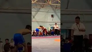 Четкий бросок по национальной борьбе Хапсагай. 