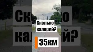 ChatGPT VS GARMIN: Кто врёт про калории?! 🤯 #похудение #велосипед #калории  #жиросжигание #сколько