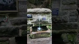 Reines , schmackhaftes #Quellwasser#wandern #pfälzerwald #pfalzliebe