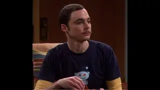 Sheldon Cooper makes all his decisions using dungeons and dragons (D&D) dice