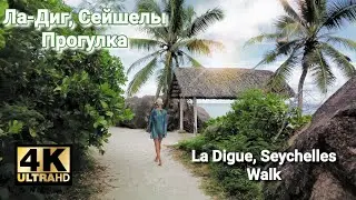 Walk along the ocean in 4k. La Digue island. Seychelles