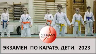 Экзамен в средней группе , оранжевые пояса. 05.11.2023, Санкт-Петербург.