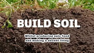 Do you want to build soil and local food security profitably?