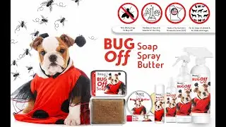 The Blissful Dog Bug Off Collection