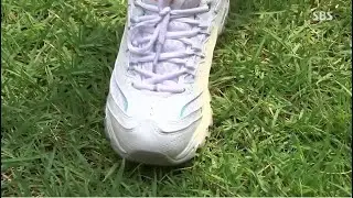 Cicada crush with sneakers. Korean style.