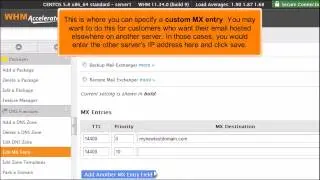 How to Manage DNS Zones in WHM
