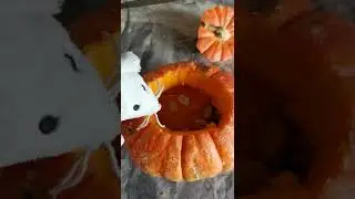 Запечённая тыква ч.1. Мы забыли купить пшенку!