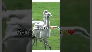 Wait for the second for motivation