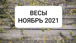 ВЕСЫ. НОЯБРЬ 2021 г.