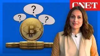 Crypto Questions You Were Too Confused to Ask