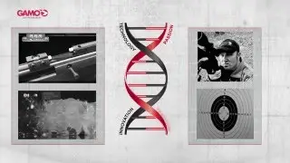 GAMO DNA