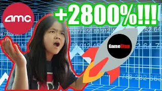 The Meme Stock REVOLUTION