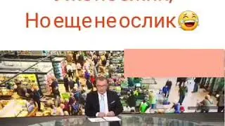 Уже не ёжик, но ещё не ослик! 