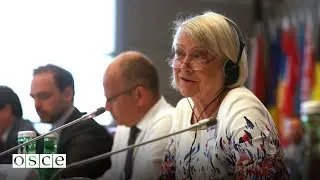 Свобода СМИ в условиях нестабильности: Основное выступление Кэйт Эйди