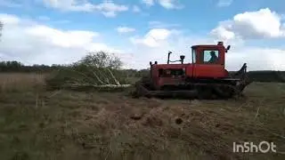 Утонул трактор Дт-75Н на расчистке заросшего поля кустарниками